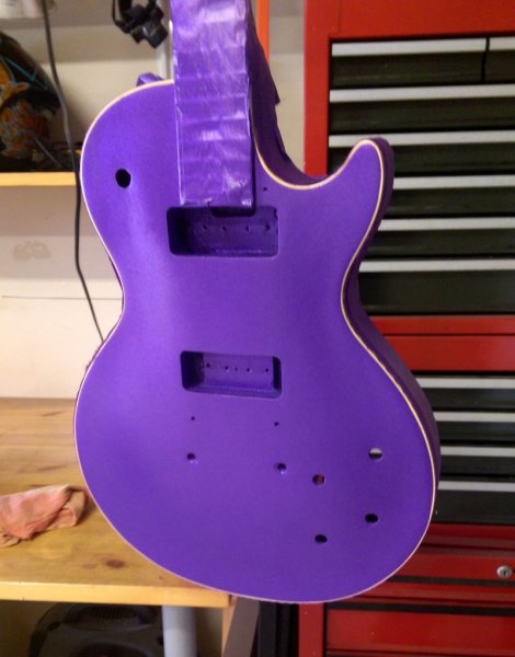 purple-1.thumb.jpg.2ff9424498f8548c132fe0a7accee92b.jpg