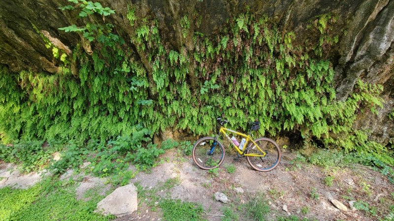 image.thumb.jpeg.16db5d75b3e54841540a15d1a064bc78.jpeg